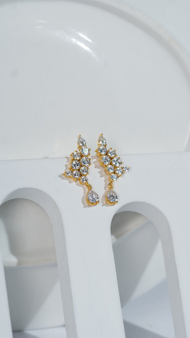 Chic Earring