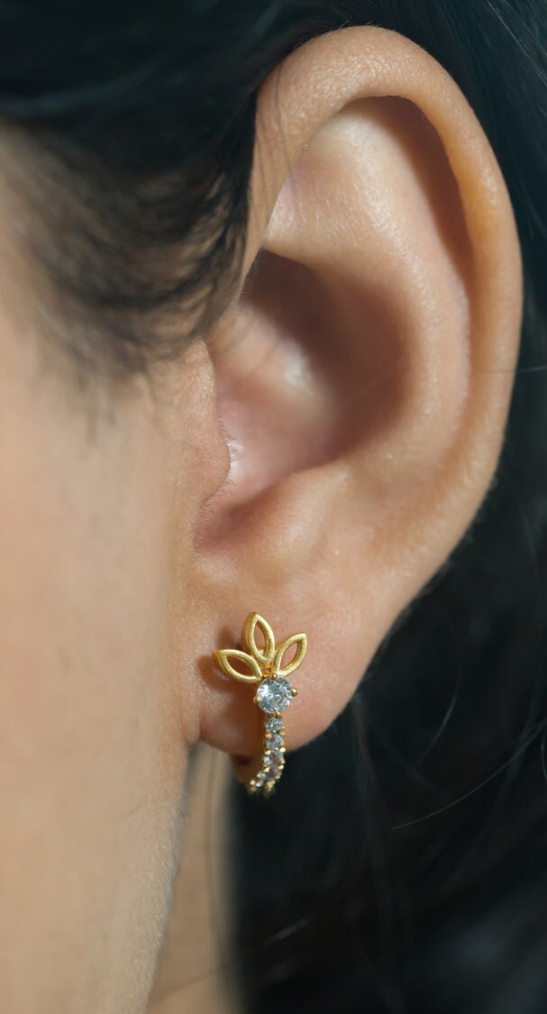 Magnificent Hoop Earrings