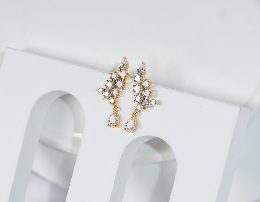 Chic Earring